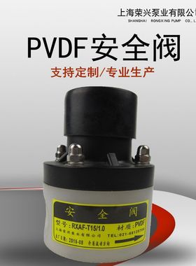 PVDF内螺纹连接 背压阀/ 直通式化工用背压阀 RXBF-T25/1.0