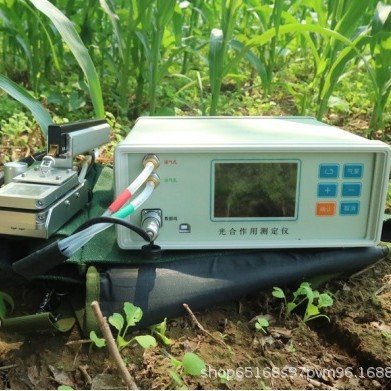 FS-3080D便携光合仪蒸腾速率