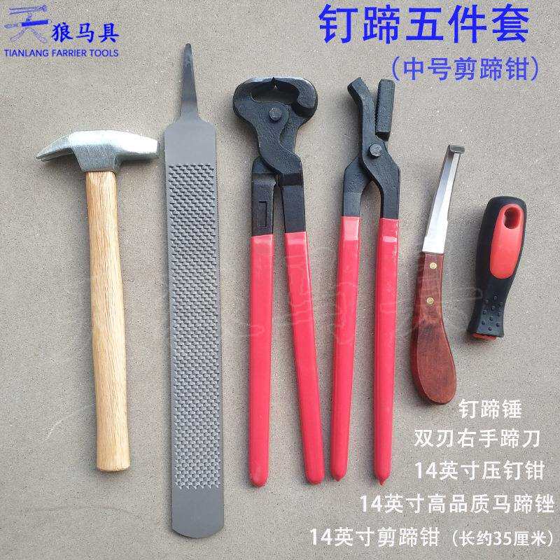 修蹄钉掌五件套剪蹄钳马蹄锉修蹄刀压钉钳修蹄工具天狼马具