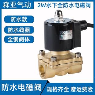 电磁控制阀220v开关阀24v 全铜常闭水下喷泉防水电磁阀水阀地埋式