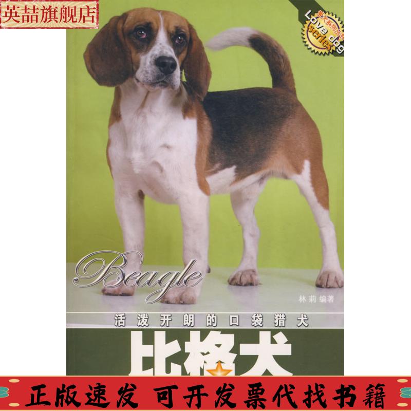 正版图书 活泼开朗的口袋猎犬比格犬林莉中国林业出版社