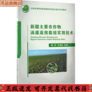 社 新疆主要农作物滴灌栽培实用技术陈林王海波中国农业大学出版 正版 图书