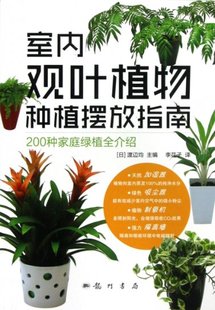 室内观叶植物种植摆放指南渡辺均李花子科学出版 图书 社 正版
