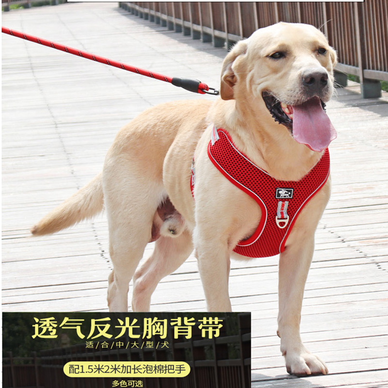 背心式狗狗牵引绳子拉布拉多金毛用品小型中型大型犬遛狗绳狗链子