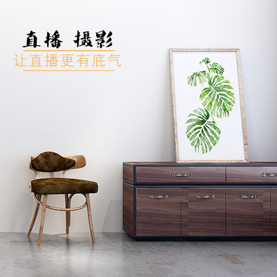 直播间装饰大尺寸简约背景布拍照摄影摆拍道具3D立体大拍摄背景墙