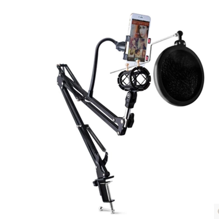 双手机直播支架带麦克风座万向悬臂桌面360度旋转网红主播架子