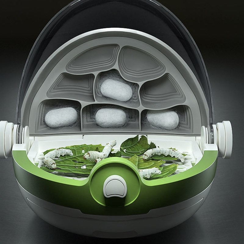 蚕宝宝太空舱养蚕房子科学罐头养育仓别墅饲养盒学生活蚕蚕卵套餐