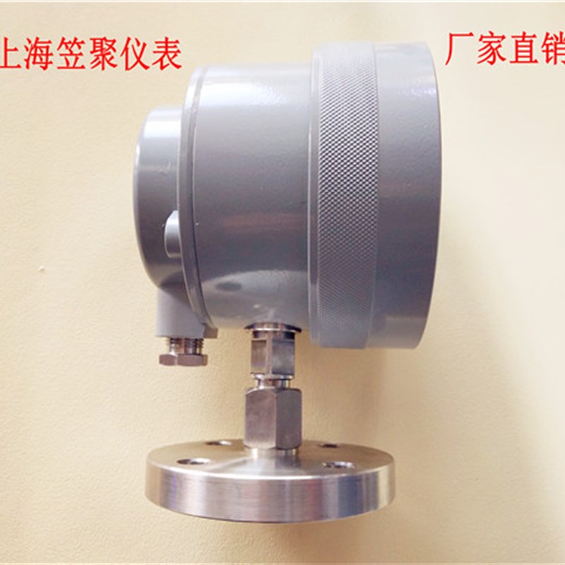 法兰式隔膜防爆电接点压力表 YX100B-MF YX160B-MF 1.6MPA DN15