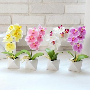 Artificial Simulation Ornaments Bonsai Flower Phalaenopsis