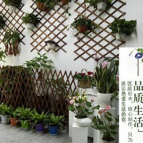 极速Vegetable garden wooden supermarket green plant wall fix