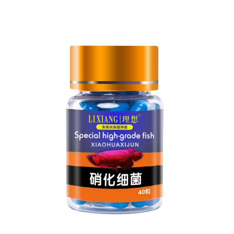 硝化细菌胶囊硝化菌消化细菌水族鱼缸净水剂黑水素维生素VC外虫净