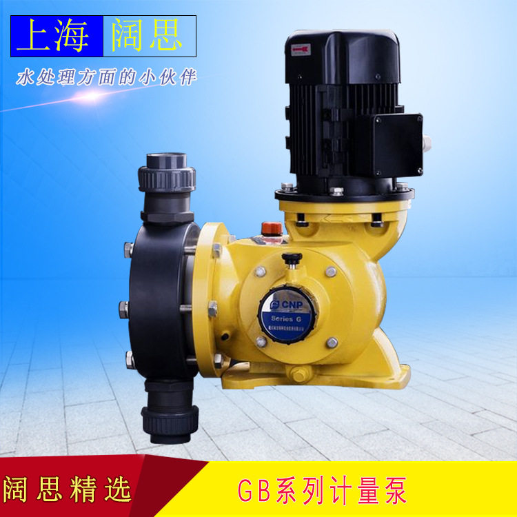 南方赛珀计量泵GB1000PQ1MNN加药泵 电动往复泵 定量机械泵