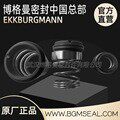 SIHI希赫真空泵LEMA90 AZ YTF OK 0/FLOWSERVE不锈钢机械密封