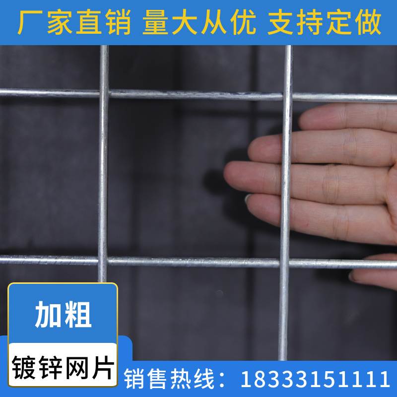 镀锌网片电焊网片镀锌铁丝网养殖铁网网格狗笼货架镀锌钢隔离防护