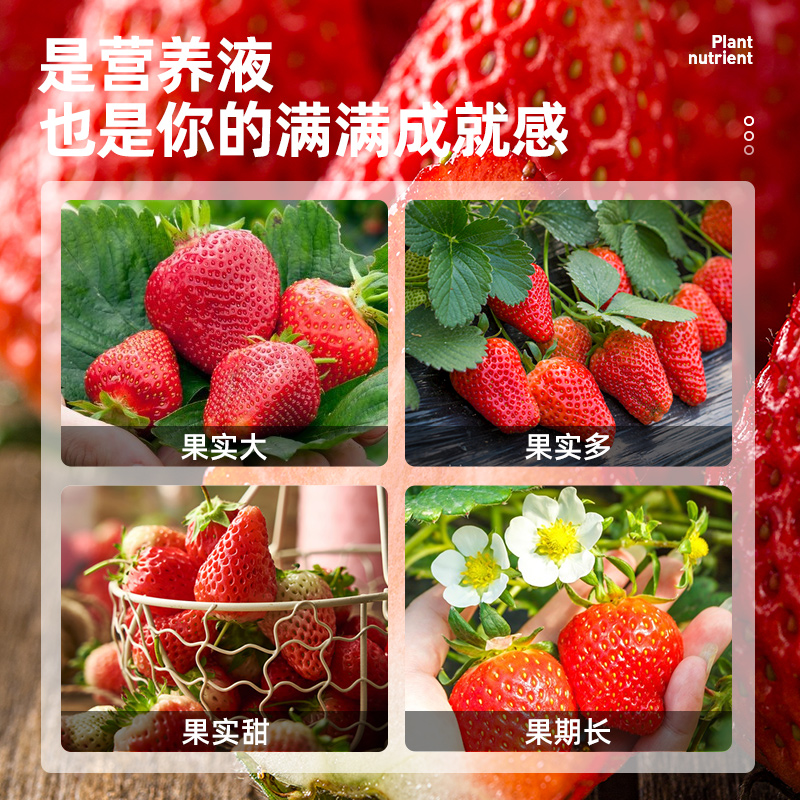 草莓专用营养液肥料专用肥盆栽有机肥料水溶肥专用肥料家用种瓜果