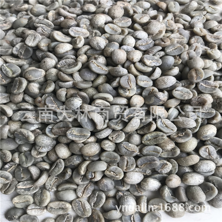 云南原产地批发咖啡生豆保山水洗咖啡豆AA 咖啡豆杯测品质