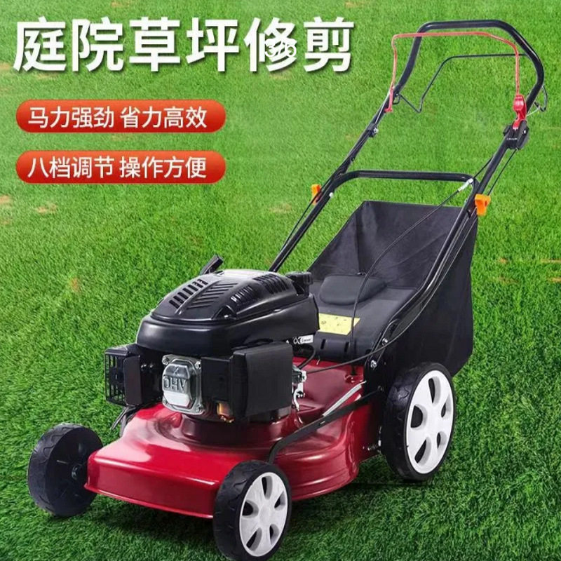 手推式汽油割草机6马力四冲程家用园林草坪修剪机轻便易推草坪车