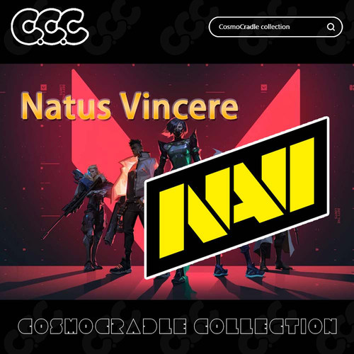 VALORANT Champions 战队队标 Natus Vincere