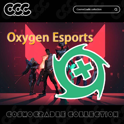 VALORANT Champions 战队队标 Oxygen Esports