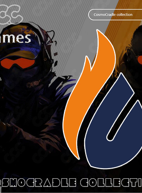 CS:G0 Major 战队队标 Flames