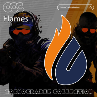 战队队标 Major Flames