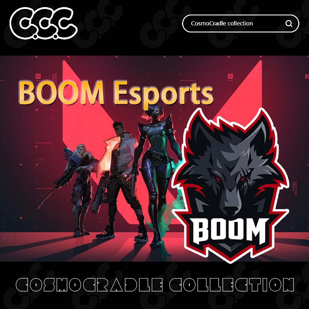 VALORANT Champions 战队队标 BOOM Esports