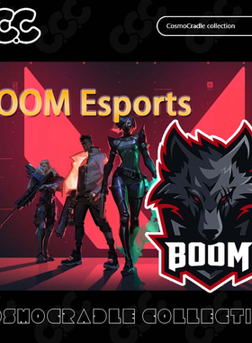 VALORANT Champions 战队队标 BOOM Esports