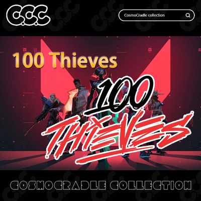 VALORANT Champions 战队队标100 Thieves