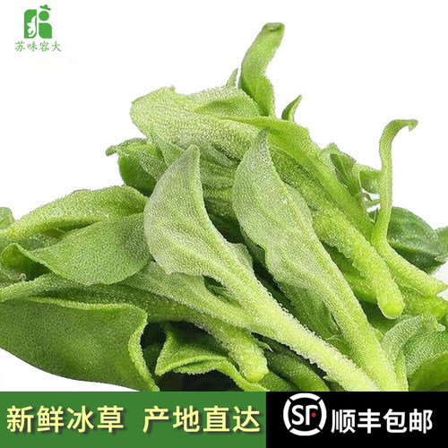 苏味容大新鲜冰菜现采现发送沙拉