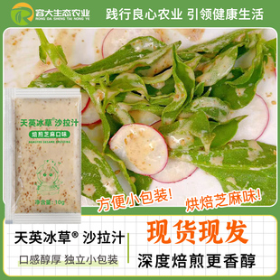 天英冰草沙拉酱焙煎芝麻口味10ml*1小包装蔬菜水果沙拉酱火锅蘸料