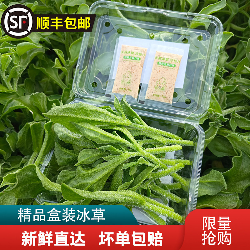 小包装新鲜沙拉酱小包装蔬菜水果