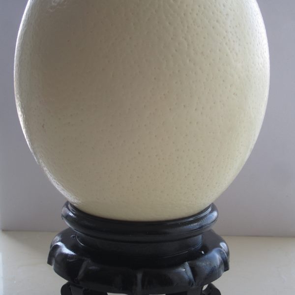 鸵鸟蛋壳底座鸸鹋驼鸟蛋壳蛋托蛋雕工艺品水晶球葫芦石球托包邮