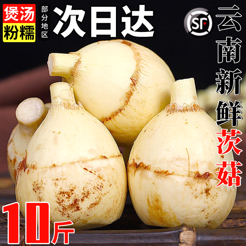 煲汤粉糯丨云南新鲜茨菇9斤