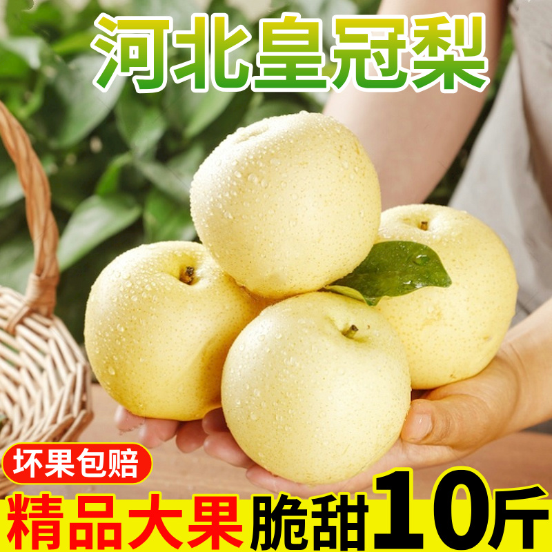 正宗皇冠梨丨皮薄酥脆！脆甜