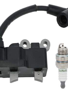 点火线圈高压包配火花塞适用于291337001 RY252CS RY253SS RY251P
