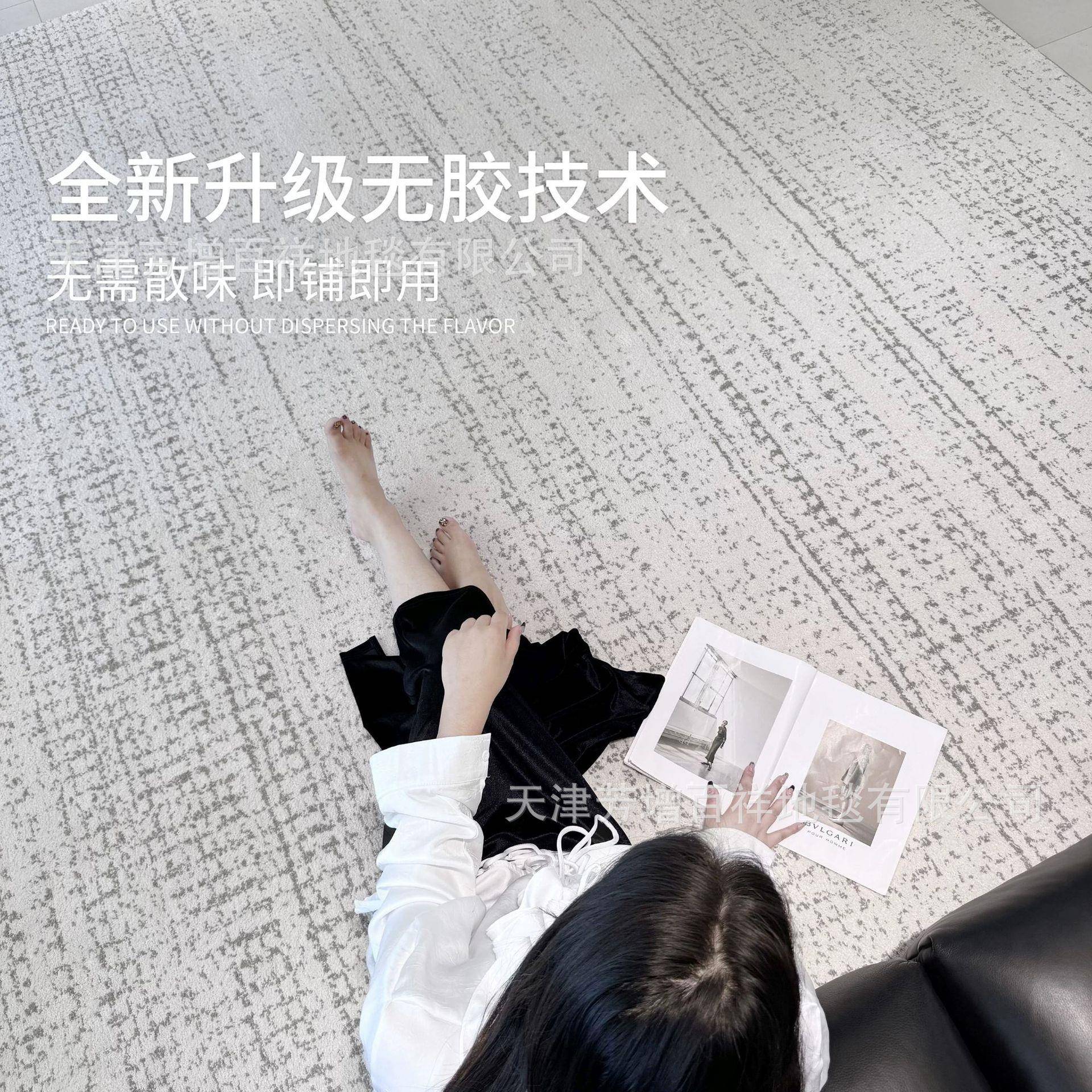 防水抗污无胶客厅地毯意式轻奢现代极简高级感茶几满铺卧室床边毯