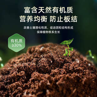 新洋丰君子兰专用有机营养土花土土壤种植土家庭农庄后台花雨漫天