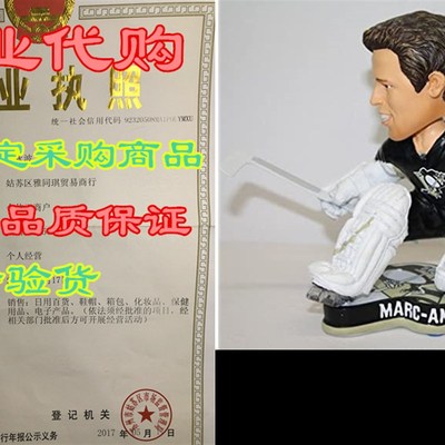 Pittsburgh Penguins Fleury M. #29 2013 Pennant Base Bobbl