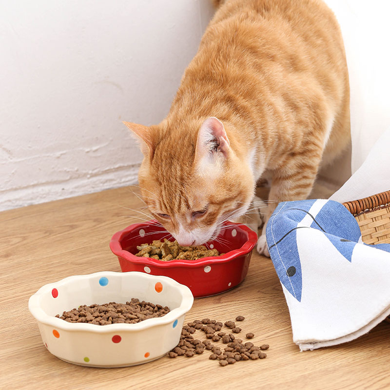 调节高度猫碗陶瓷单双碗架子餐桌猫咪餐具猫食盆可爱护颈椎宠物碗
