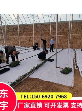 4米宽白色防草布温室大棚反光地布加厚耐磨120gpe光伏站除草布