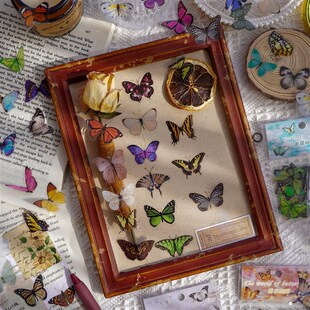 PET 极速40 Transparent Stickers Butterfly Pcs Elegant
