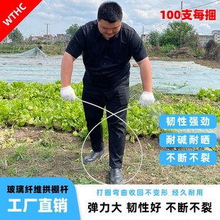 玻璃纤维拱棚支架工棚弹力棒玻纤杆高弹性高强拱杆丝瓜葡萄拱形塑