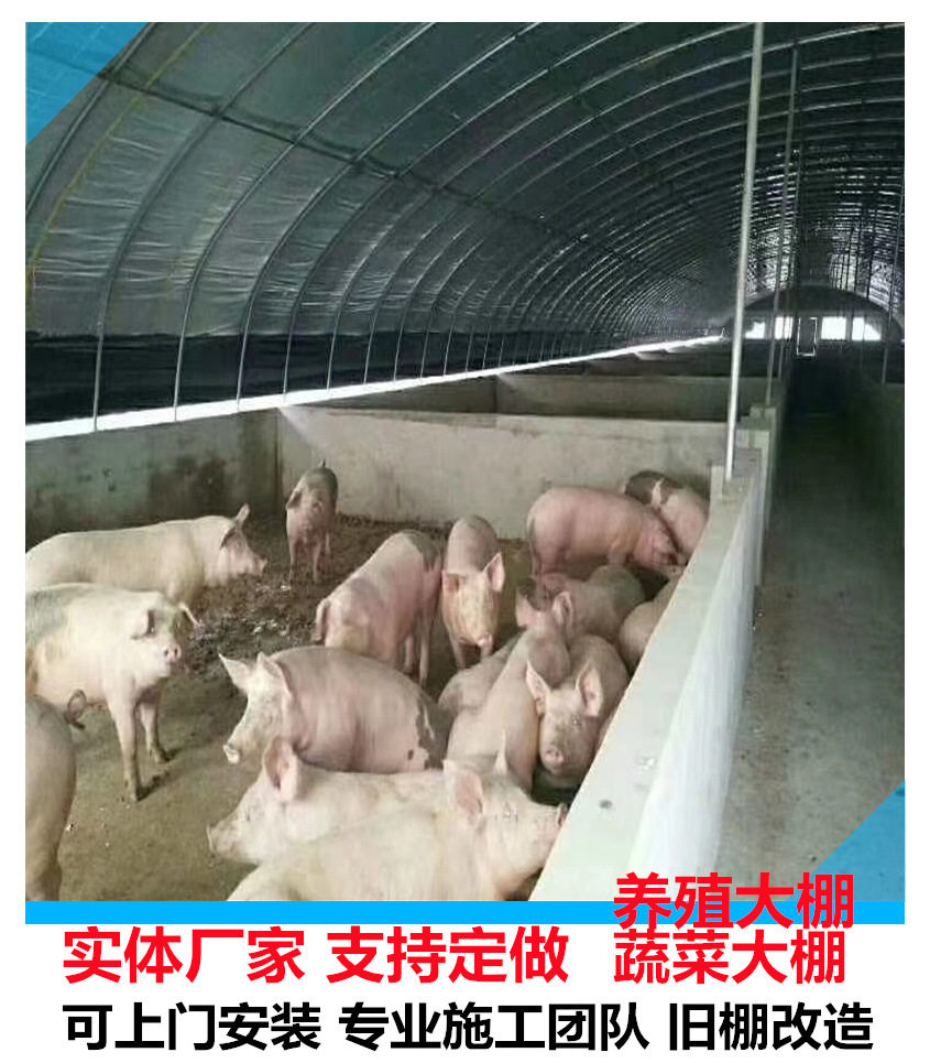 抗风强四层保温养牛羊大棚