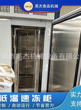 薯条速冻柜柜商用速冻冷柜零下45度急冻插盘子79259包饺子海参速