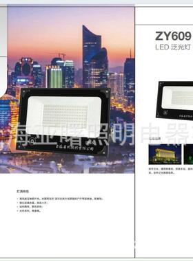 ZY609-DLE5-0W灯具LED具亚明ZY60930W73875贴片灯具投光灯灯泛光