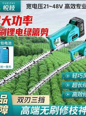大NGO功率电动绿机锂电充剪电式速单手绿篱修调机绿化园林修枝篱