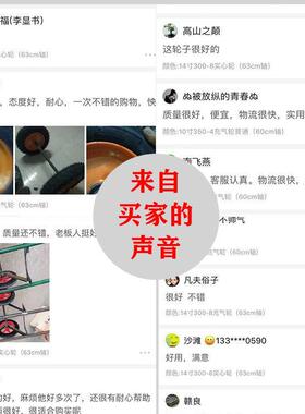 ZTJ静音8寸10推寸12寸14寸车充气轮重型两轮带实心轴老虎小车轮轮