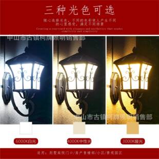 太阳能高端剑灯花款壁灯欧庭式中式院户外大门室外阳台防灯水剑花