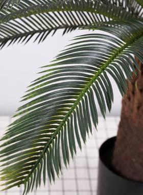 装饰仿真铁室树盆栽内假绿植装扮酒店商场摆件仿QH-53018真树绿植