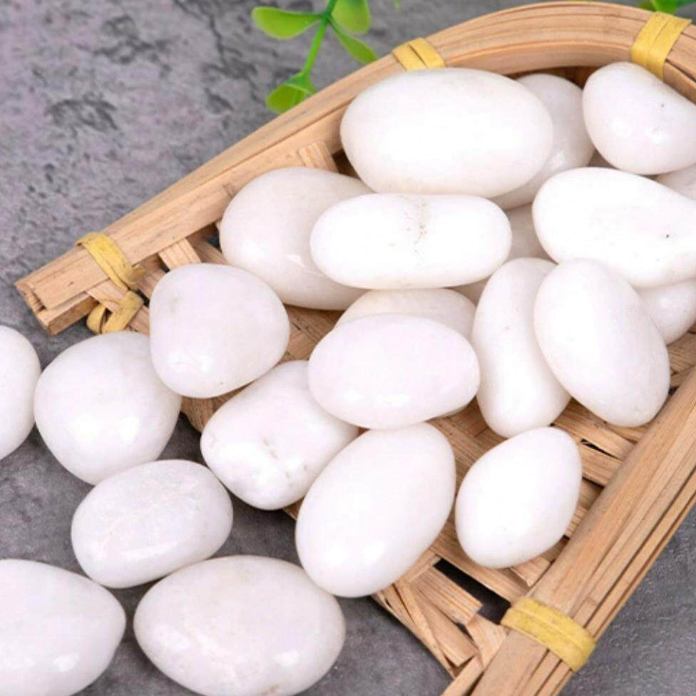 白色石鹅子鹅卵铺路石头雨45174石软石水培郁金香石鱼花缸造景雨